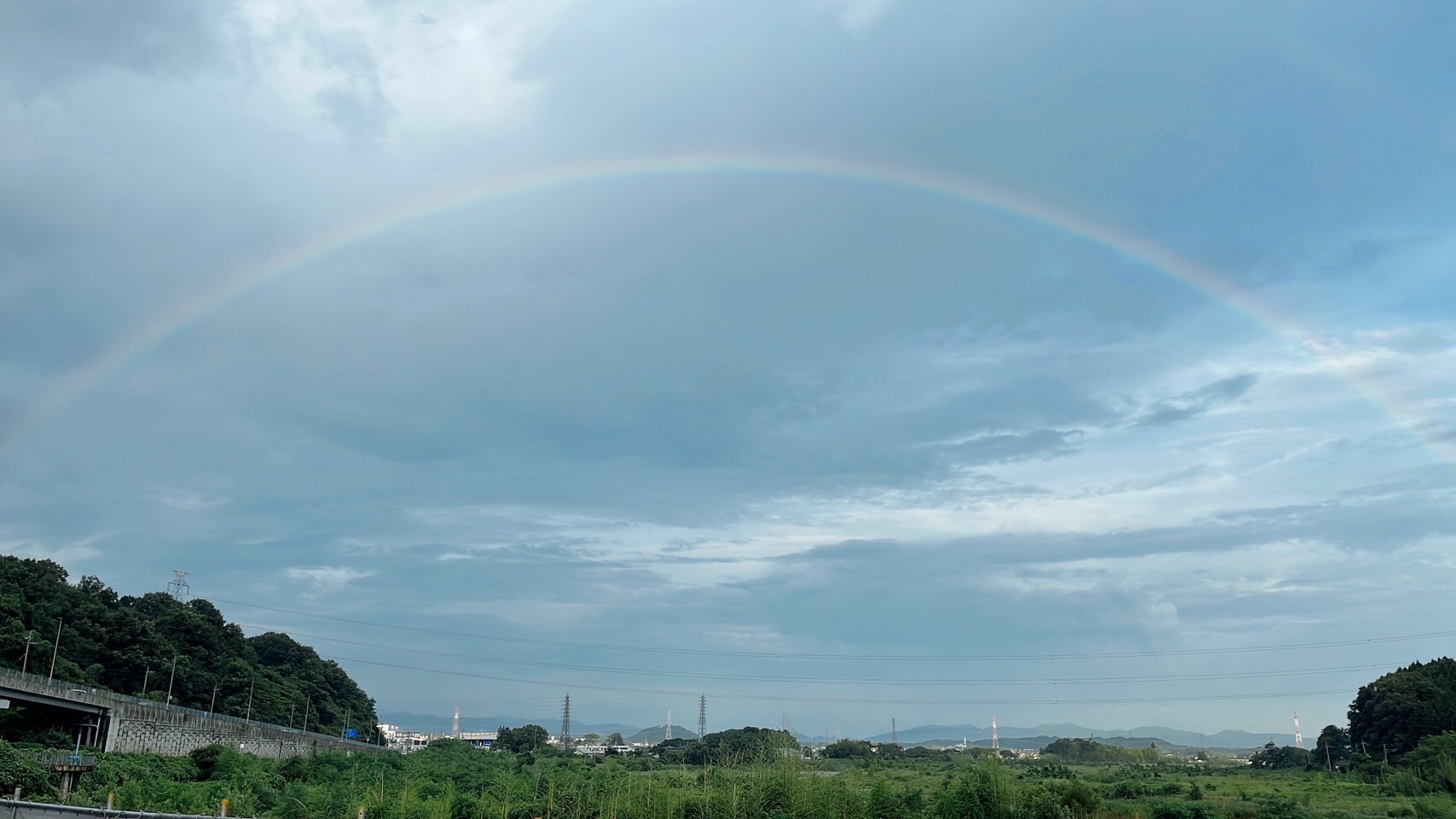 梅雨ならではの・・・？☔