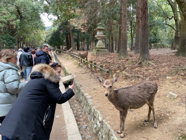 奈良といえば…