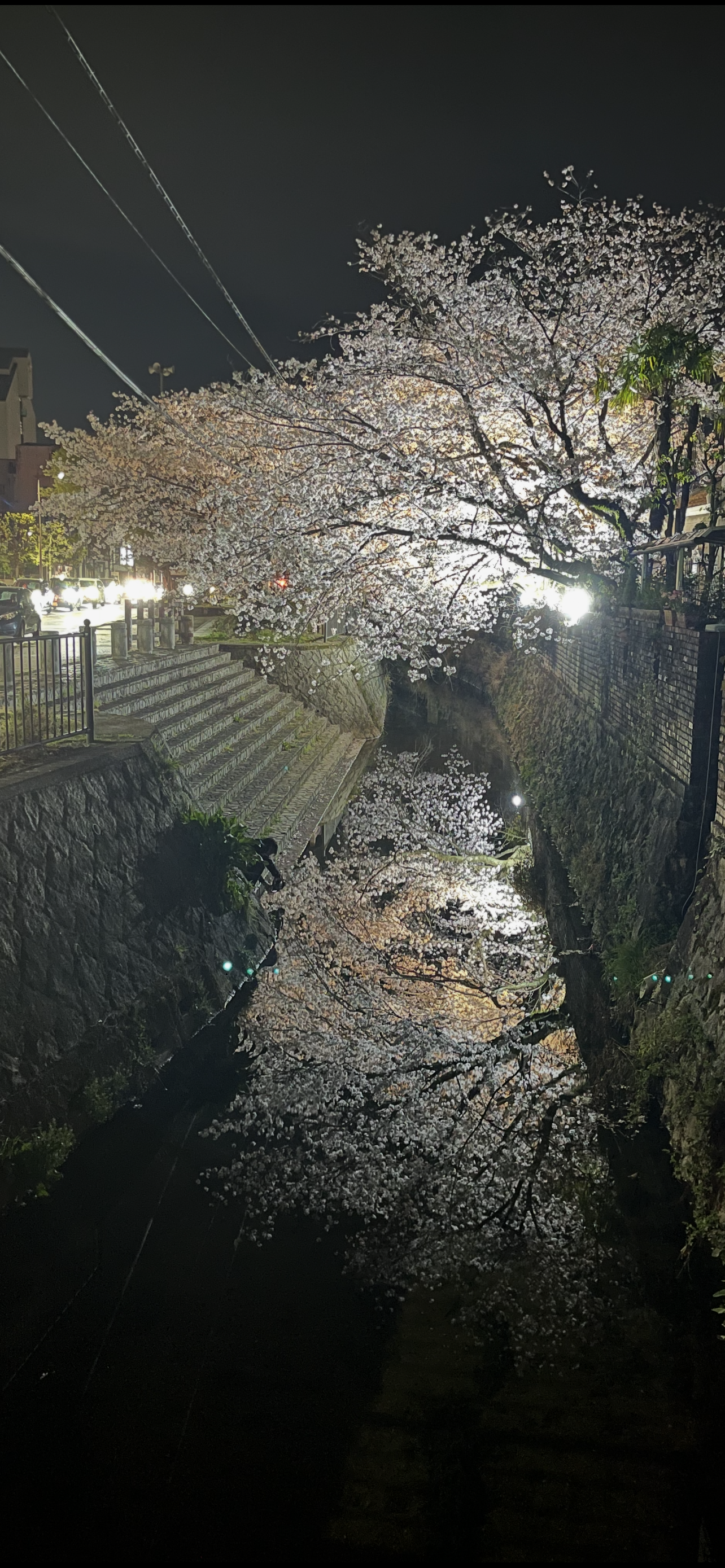 お気に入りの…